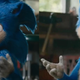 Imagen para el artículo titulado Basta con un minuto de Photoshop para arreglar todo lo que está mal en el nuevo Sonic